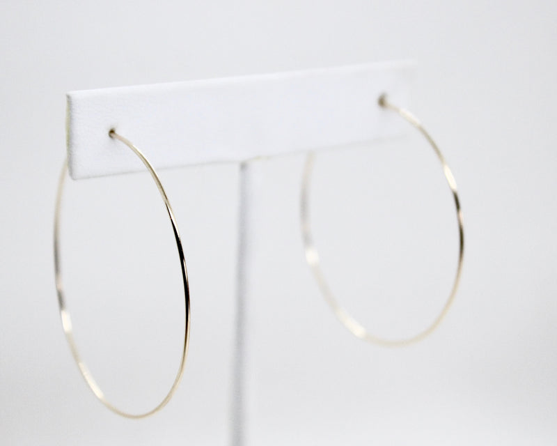 Dainty Hoops